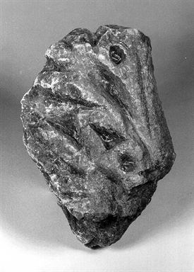 capitello corinzio/ calato